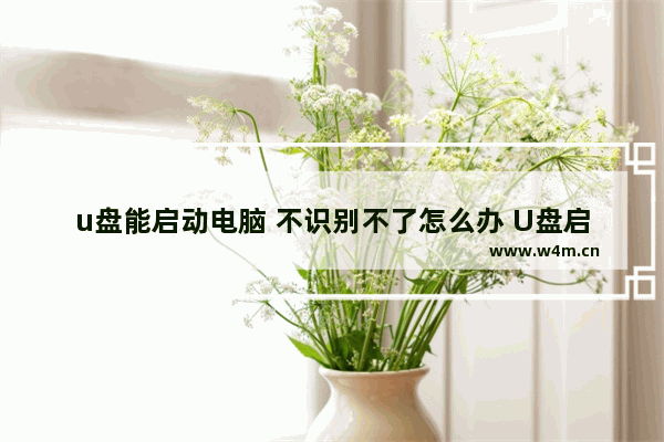 u盘能启动电脑 不识别不了怎么办 U盘启动电脑不可识别，该怎么办？