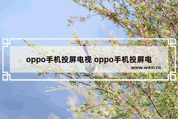 oppo手机投屏电视 oppo手机投屏电视如何让电视满屏