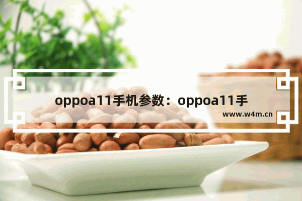 oppoa11手机参数：oppoa11手机参数配置