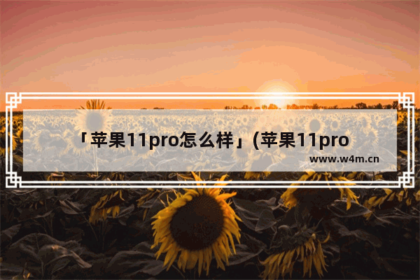 「苹果11pro怎么样」(苹果11pro怎么样值得买吗 苹果13)