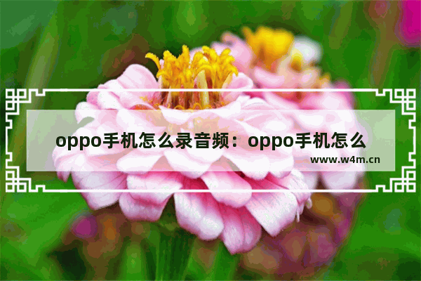 oppo手机怎么录音频：oppo手机怎么录音频文件mp3