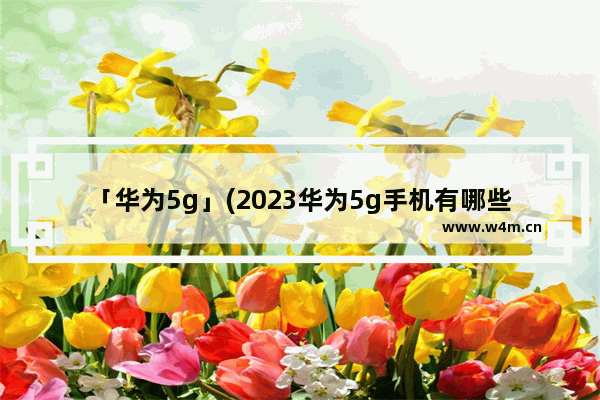 「华为5g」(2023华为5g手机有哪些)