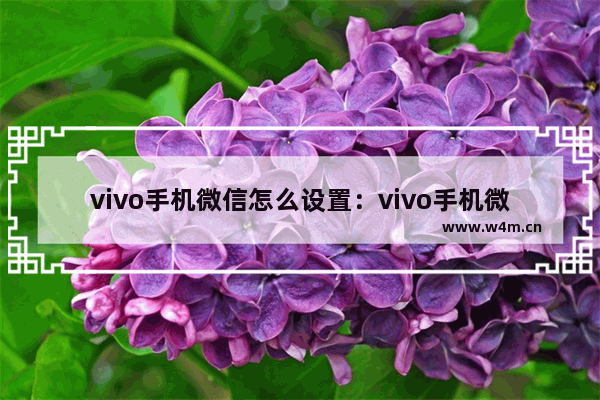 vivo手机微信怎么设置：vivo手机微信怎么设置铃声自定义