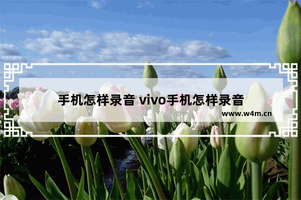 手机怎样录音 vivo手机怎样录音