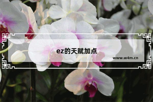 ez的天赋加点