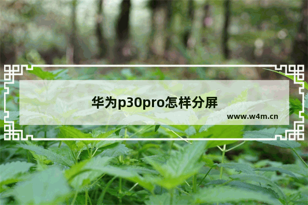 华为p30pro怎样分屏