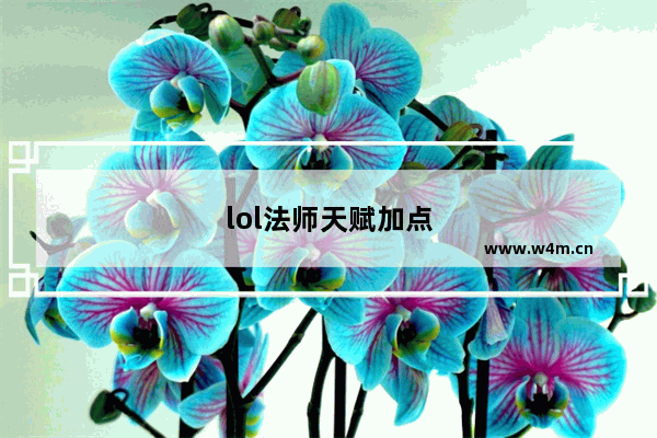 lol法师天赋加点