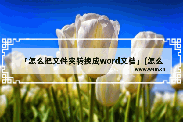 「怎么把文件夹转换成word文档」(怎么把文件夹转换成word文档格式)