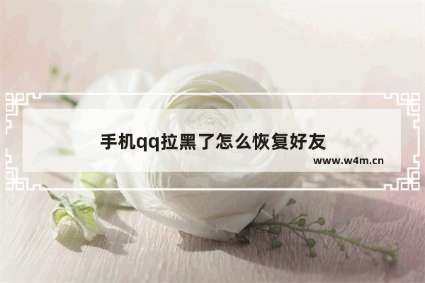 手机qq拉黑了怎么恢复好友