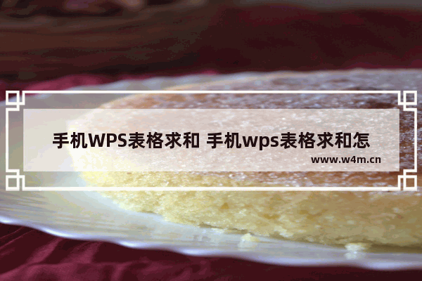 手机WPS表格求和 手机wps表格求和怎么操作