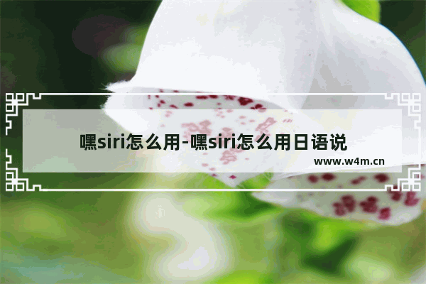 嘿siri怎么用-嘿siri怎么用日语说