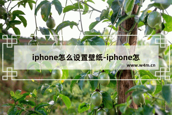 iphone怎么设置壁纸-iphone怎么设置壁纸随页面滚动