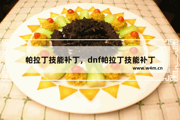 帕拉丁技能补丁，dnf帕拉丁技能补丁