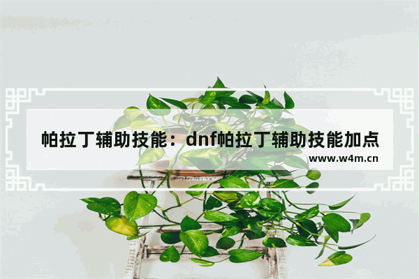 帕拉丁辅助技能：dnf帕拉丁辅助技能加点