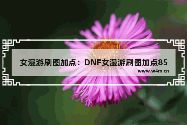 女漫游刷图加点：DNF女漫游刷图加点85版本