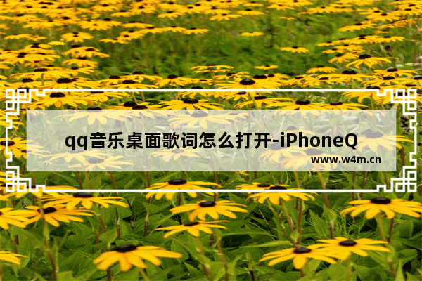 qq音乐桌面歌词怎么打开-iPhoneQQ音乐桌面歌词怎么打开