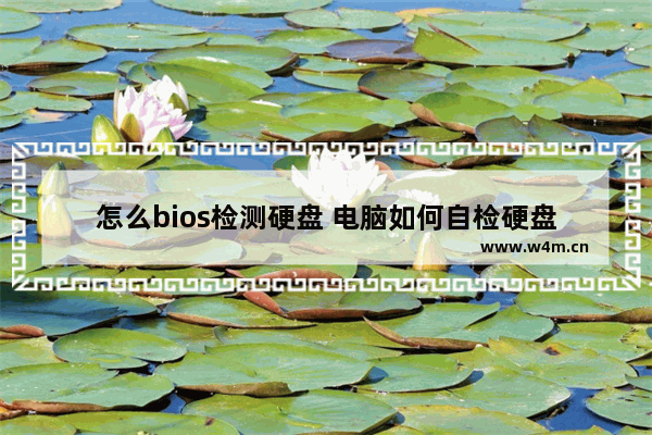 怎么bios检测硬盘 电脑如何自检硬盘