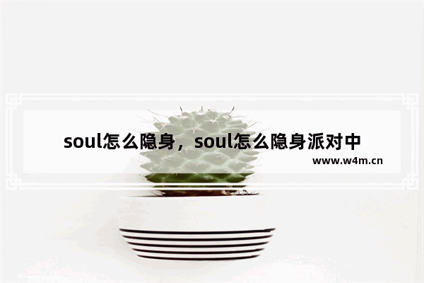 soul怎么隐身，soul怎么隐身派对中