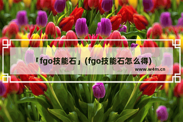 「fgo技能石」(fgo技能石怎么得)