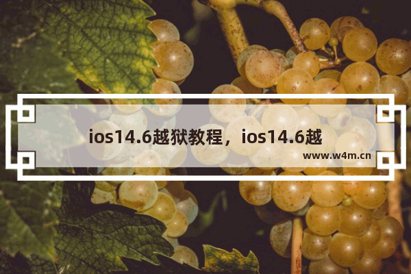 ios14.6越狱教程，ios14.6越狱教程A10