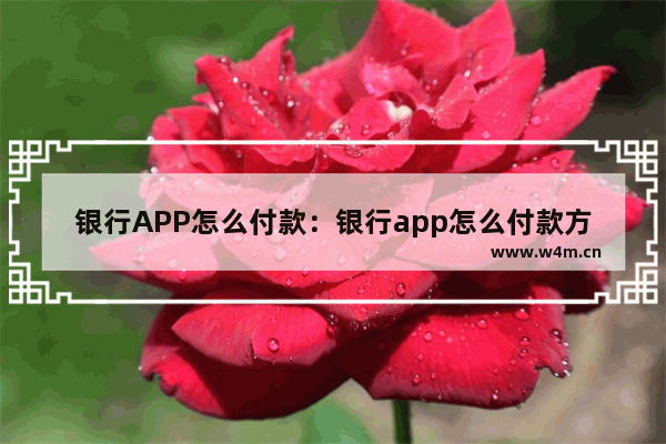 银行APP怎么付款：银行app怎么付款方式