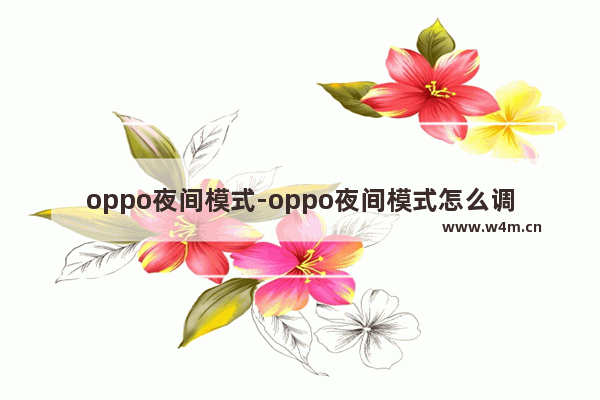 oppo夜间模式-oppo夜间模式怎么调回白天模式