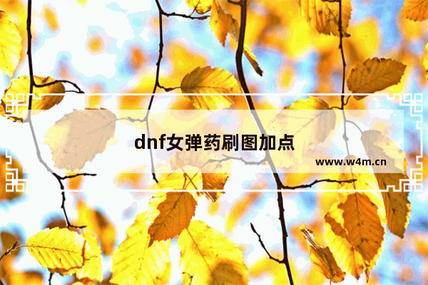 dnf女弹药刷图加点