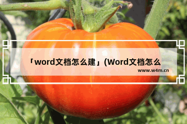 「word文档怎么建」(Word文档怎么建立大纲目录)