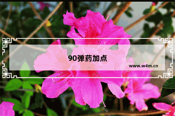 90弹药加点