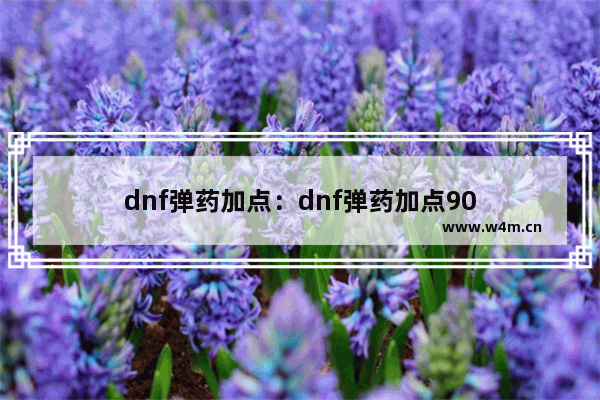 dnf弹药加点：dnf弹药加点90