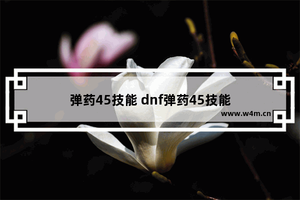 弹药45技能 dnf弹药45技能