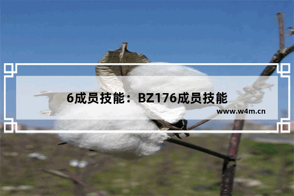 6成员技能：BZ176成员技能