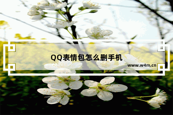 QQ表情包怎么删手机