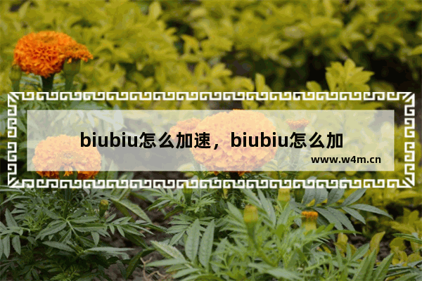 biubiu怎么加速，biubiu怎么加速谷歌商店