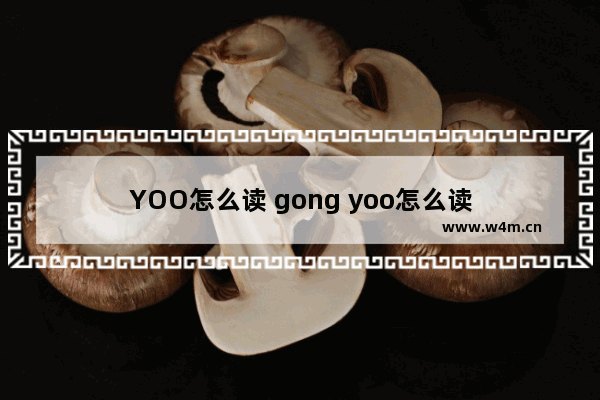 YOO怎么读 gong yoo怎么读