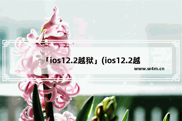 「ios12.2越狱」(ios12.2越狱工具)