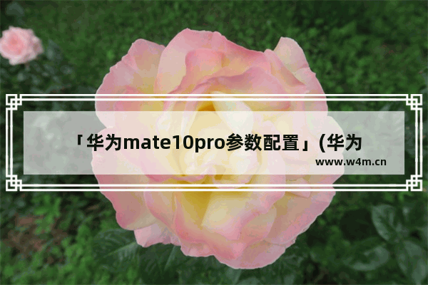 「华为mate10pro参数配置」(华为mate10pro参数配置屏幕)