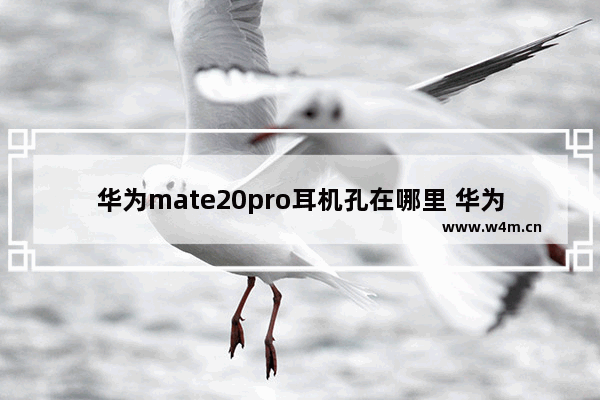 华为mate20pro耳机孔在哪里 华为mate20pro耳机孔在哪里?