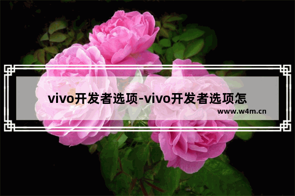 vivo开发者选项-vivo开发者选项怎么关闭顶部