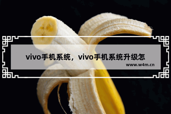 vivo手机系统，vivo手机系统升级怎么关闭