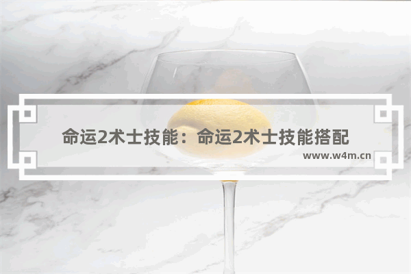 命运2术士技能：命运2术士技能搭配