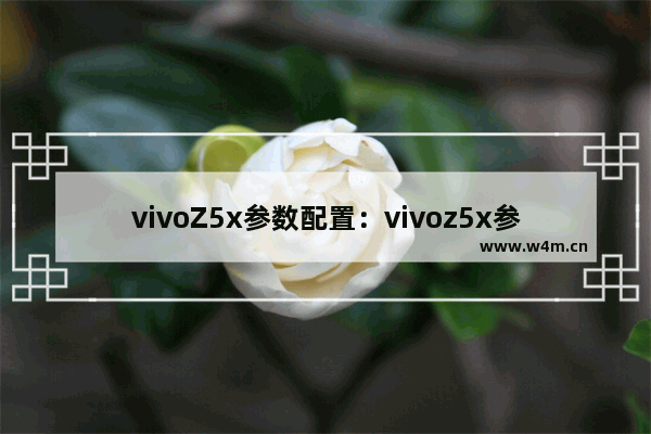 vivoZ5x参数配置：vivoz5x参数配置报价