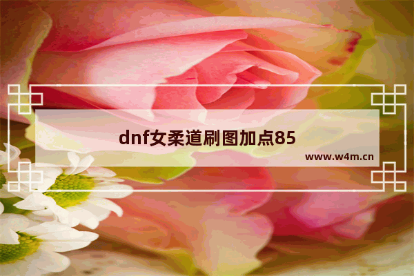 dnf女柔道刷图加点85