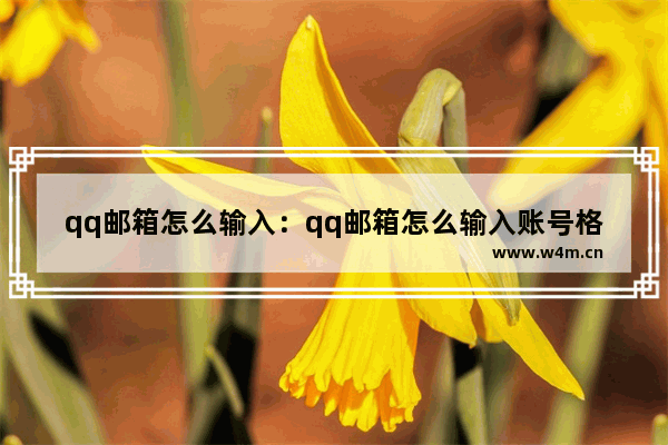 qq邮箱怎么输入：qq邮箱怎么输入账号格式