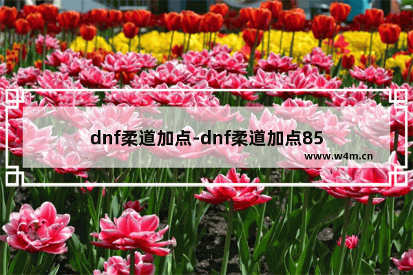 dnf柔道加点-dnf柔道加点85