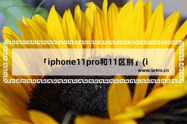 「iphone11pro和11区别」(iphone11pro和11区别 知乎)