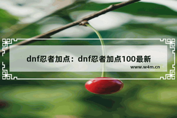 dnf忍者加点：dnf忍者加点100最新加点