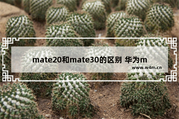 mate20和mate30的区别 华为mate20和mate30的区别