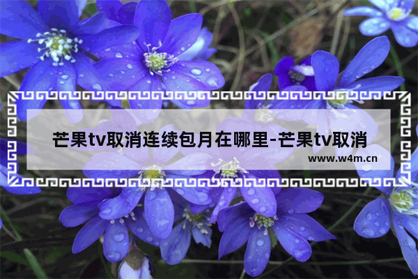 芒果tv取消连续包月在哪里-芒果tv取消连续包月在哪里华为