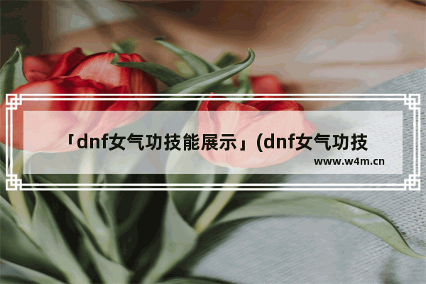 「dnf女气功技能展示」(dnf女气功技能展示视频)